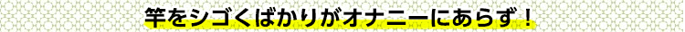 竿をシゴくばかりがオナニーにあらず！