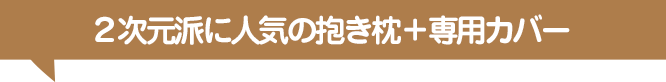 ２次元派に人気の抱き枕＋専用カバー