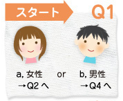 Q1 スタート　a.女性→Q2へ　b.男性→Q4へ