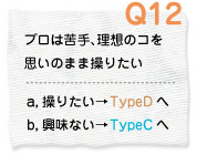 Q12 プロは苦手、理想のコを思いのまま操りたい a.操りたい→TypeDへ　b.興味ない→TypeCへ