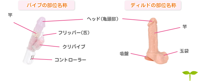 バイブの部位名称：ヘッド（亀頭部）、竿、フリッパー（舌）、クリバイブ、コントローラー　ディルドの部位名称：ヘッド（亀頭部）、竿、玉袋、吸盤