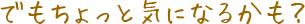 でもちょっと気になるかも？